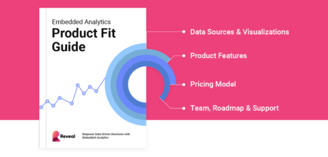 guide to embedded analytics and the best solution for your needs