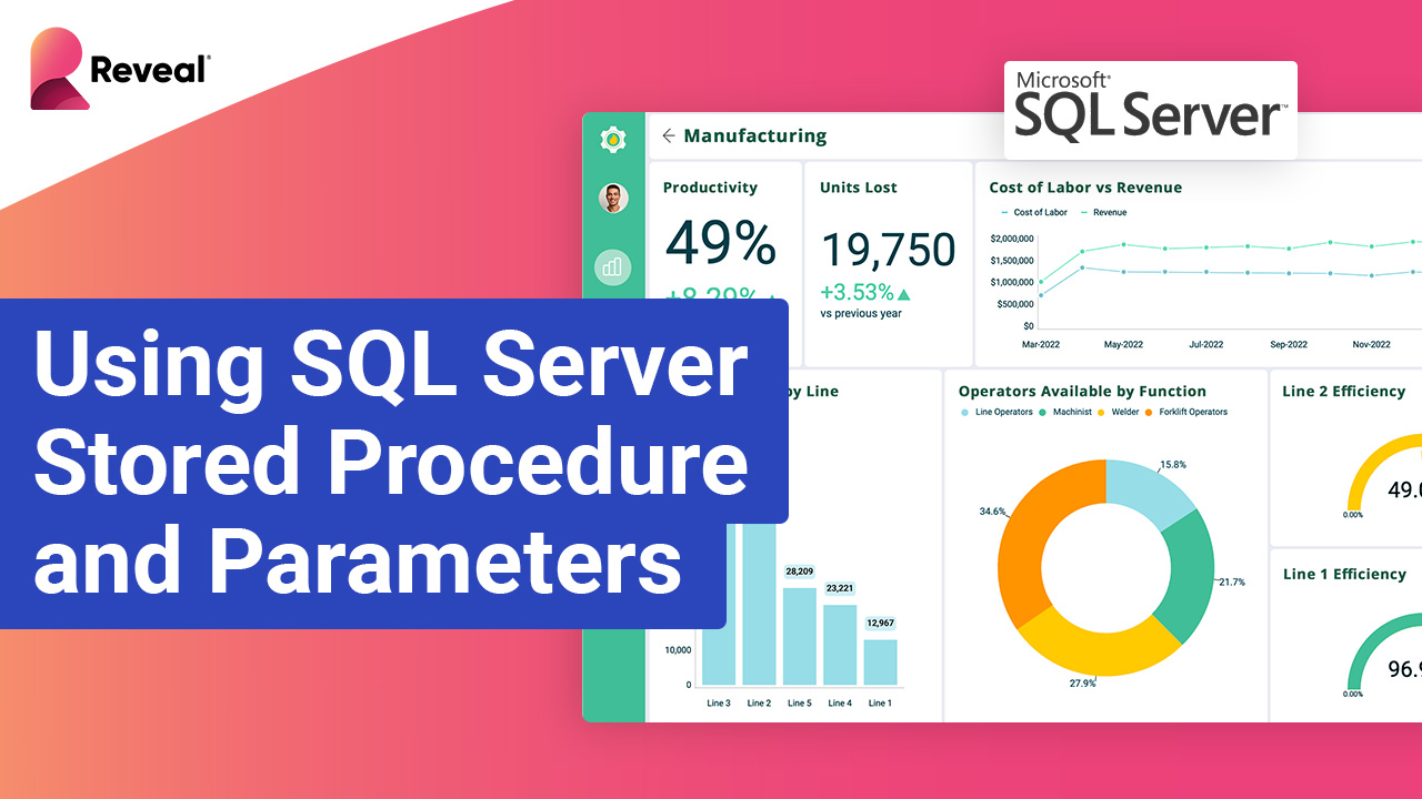 Reveal BI での SQL Server ストアド プロシージャとパラメータの活用